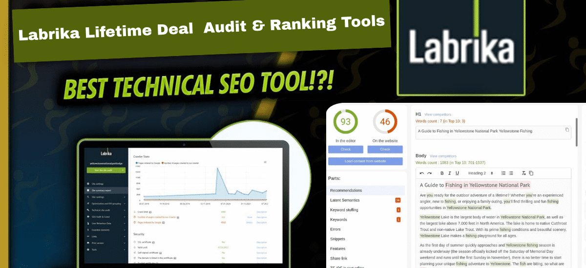 Labrika Lifetime Deal Seo Optimization